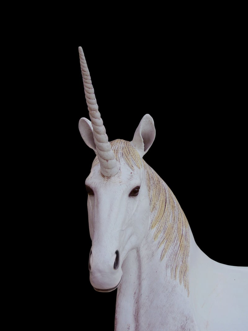 Magical Unicorn